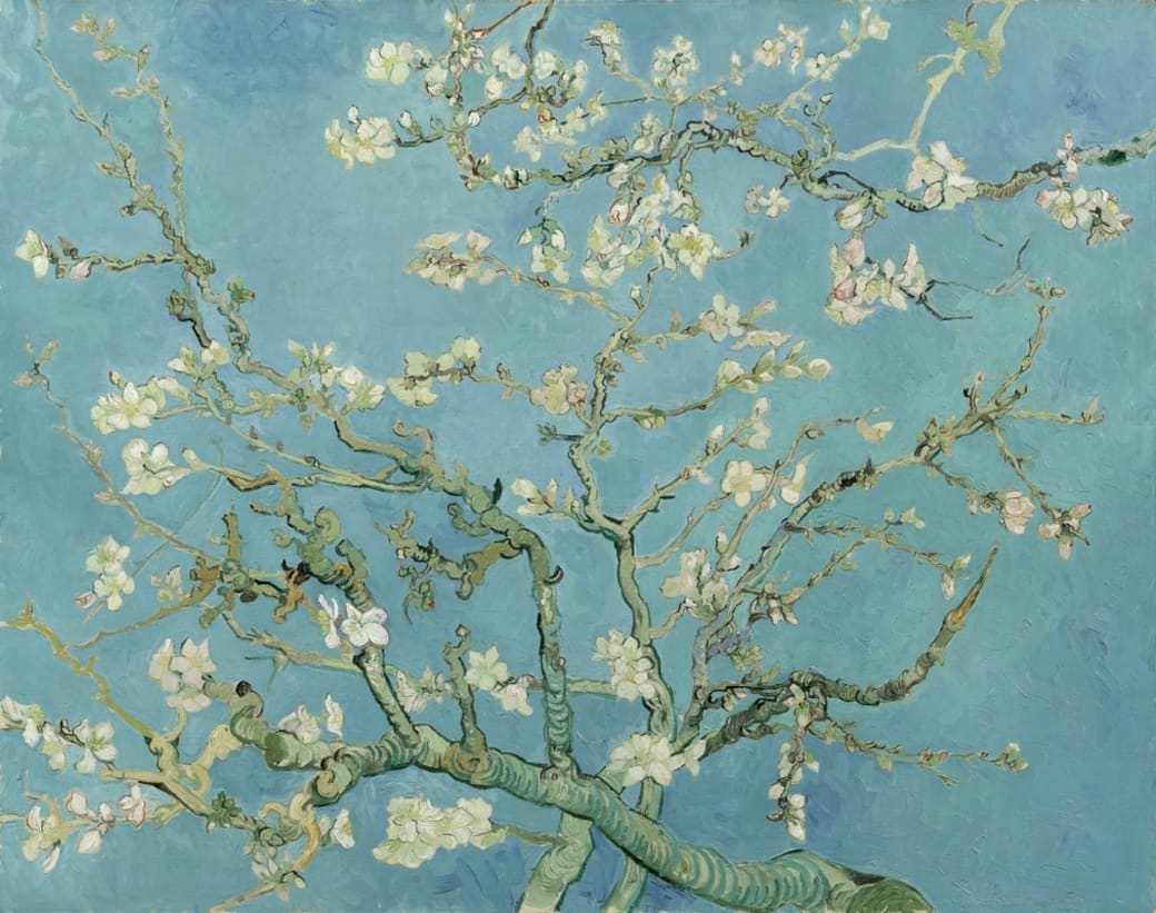 Amandelbloesem_Vincent_van_Gogh_1890_Van_Gogh_Museum_Amsterdam_(Vincent_van_Gogh_Stichting).jpg