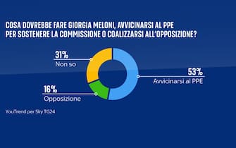 sondaggi