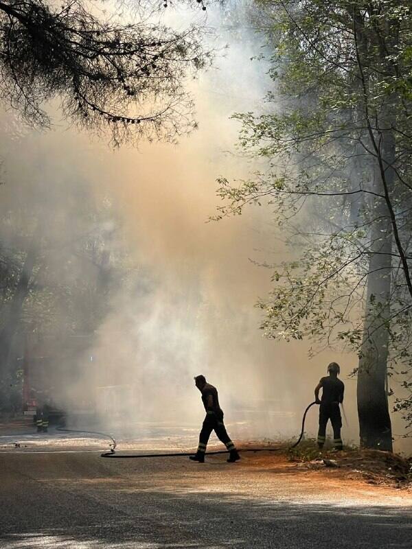 L'incendio nel Savonese L'incendio nel Savonese