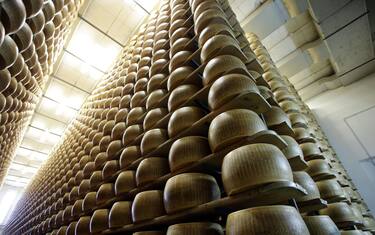 Parmigiano Reggiano. 
L'agroalimentare Made in Italy rischia di pagare un conto salatissimo, circa un miliardo di euro, dopo il verdetto del Wto che ha ufficializzato l'entità delle compensazioni che gli americani potranno chiedere all'Ue per gli aiuti illegali a Airbus: 7,5 miliardi. La lista dei prodotti interessati dalle misure ritorsive - che potrebbero arrivare ad aumenti tariffari anche del 100 per cento - non è stata definita oggi. Tra una decina di giorni la commissione statunitense Dsd dovrebbe esprimersi su come rastrellare questi 7,5 miliardi, ma a tremare sono i produttori dei simboli della tavola italiana, le cui esportazioni negli Usa valgono 4,2 miliardi euro.
ANSA