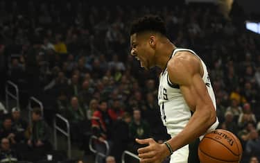 IL MIGLIORE AL FERRO: GIANNIS ANTETOKOUNMPO
