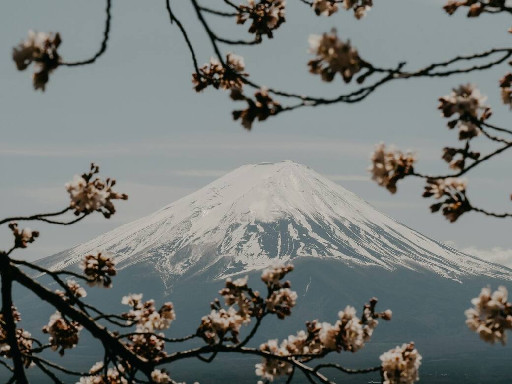Mont Fuji, Kitayama, Fujinomiya. Foto di Victor Pot su Unsplash