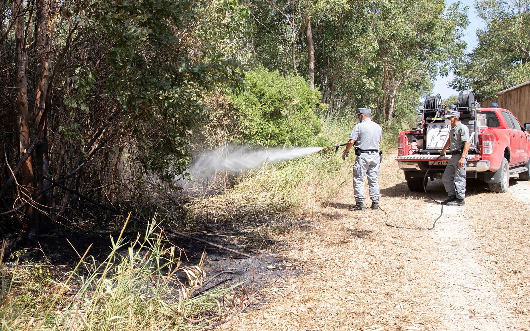 Questa mattina poco dopo le 6 ignoti piromani hanno gettato degli inneschi accesi oltre il muro di cinta su via Pratica di Mare della tenuta presidenziale di Castelporziano, residenza estiva del capo dello Stato. Alcuni alberi e una piccola porzione di macchia mediterranea e arbusti hanno subito preso fuoco. Alcuni cittadini hanno avvisato i vigili del fuoco. Sul posto sono arrivate anche le squadre dei carabinieri forestali e dei vigili del fuoco in forza nella tenuta presidenziale. I danni sono stati fortunatamente limitati
a una ventina di metri quadri di terreno bruciato, Roma, 17 agosto 2021. ANSA/FRANCESCO AMMENDOLA/US QUIRINALE ++++ NO SALES, EDITORIAL USE ONLY +++