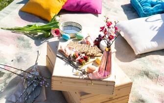 Detail of Pic Nic in Franciacorta vineyards, Brescia province in Lombardy district, Italy.