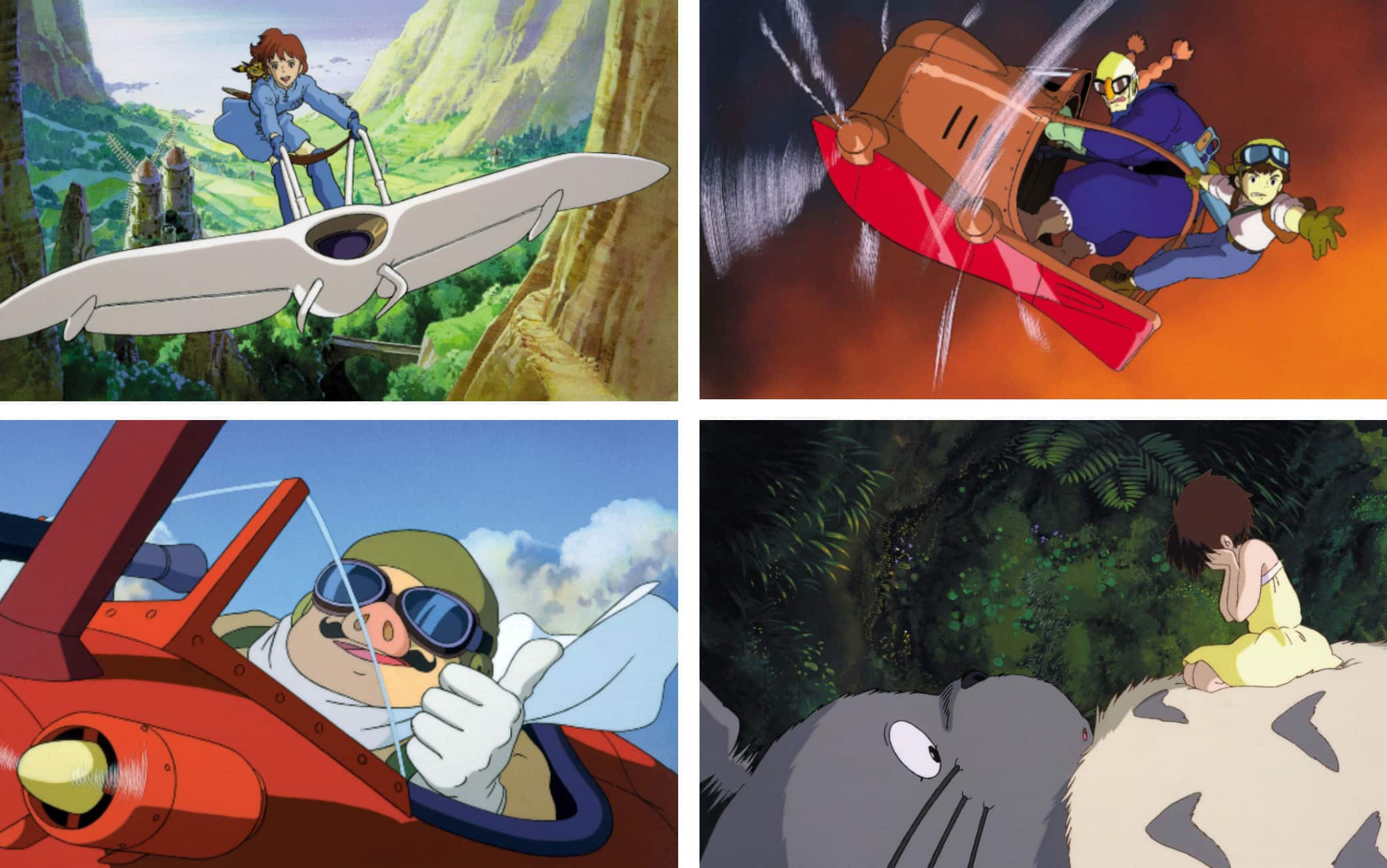 Studio Ghibli Italia - Come vi abbiamo annunciato qualche settimana fa, Il  ragazzo e l'airone, il nuovo film del maestro Hayao Miyazaki, sarà in  anteprima italiana ad Alice nella Città grazie alla