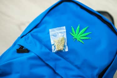 Blue backpack with cannabis marijuana drugs.