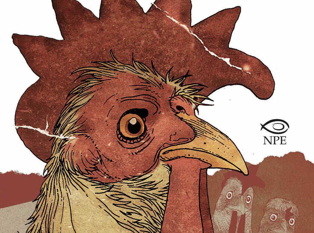 Un dettaglio della copertina di “Elmer”