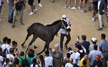 Oca horse   Zio Frac  wins the historical Italian horse race Palio di Siena, in Siena, Italy, 16 August 2023. The traditional horse race taking place on 16 August as the 'Palio dell'Assunta' on the holiday of the Virgin Mary.
ANSA/CLAUDIO GIOVANNINI