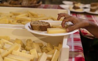 Hands of child picking Casera and Bitto cheese from plate during a food festival, Valtellina, Sondrio province, Lombardy, Italy