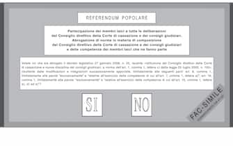 Il fac-simile della scheda per il referendum