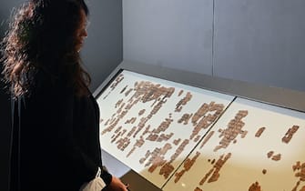 Conferenza stampa presentazione nuova ricostruzione e restauro del manoscritto "Il Papiro del Re" presso il museo egizio di Torino, 27 settembre 2022 ANSA/ALESSANDRO DI MARCO