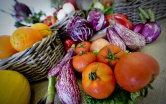   Pomodori e melenzane tra i prodotti della dieta Mediterranea.
ANSA / CIRO FUSCO