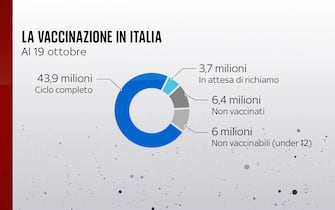 Grafiche coronavirus: la vaccinazione in Italia al 19 ottobre