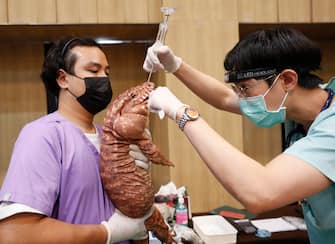 epa10861804 A veterinarian gives medical treatment to a tegus lizard exotic pet at T-REX Thailand Reptile Expo in Bangkok, Thailand, 15 September 2023. The T-REX Thailand Reptile Expo is a trade showcase exhibiting hundreds of reptiles and exotic animals breeders to sell the reptile as exotic pets for enthusiasts.  EPA/RUNGROJ YONGRIT