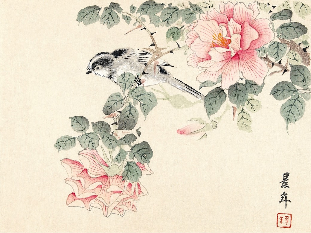 Credits 2026 L’ippocampo, per l’edizione italiana