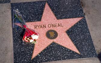 Mandatory Credit: Photo by AaronP/Bauer-Griffin/Shutterstock (14250215c)
Hollywood honors film legend, Ryan O'Neal at the site of his star on the Walk of Fame on after the announcement of his death
Ryan O'Neal Tribute on the Hollywood Walk of Fame, California - 08 Dec 2023