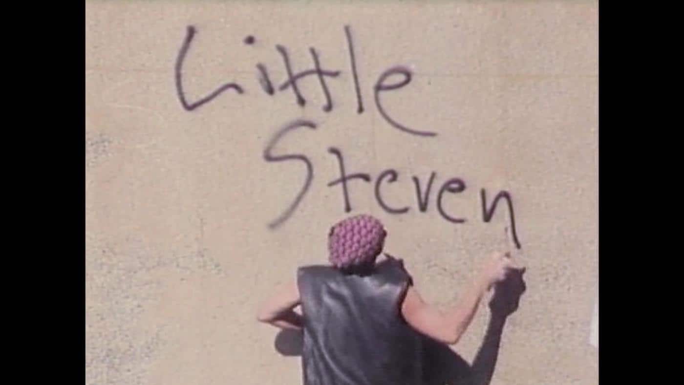 Stevie Van Zandt 