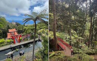 Il giardino tropicale sul Monte Palace