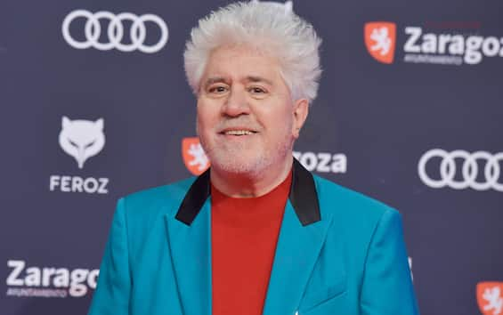 Pedro Almodóvar, la película Strange Way of Life se estrena mundialmente en el Festival de Cannes I Sky TG24