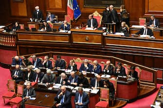 senato