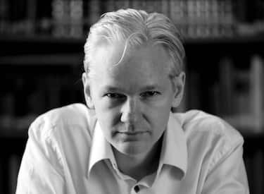 Assange - Figure 1