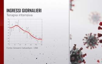 Grafiche coronavirus: gli ingressi giornalieri in terapia intensiva