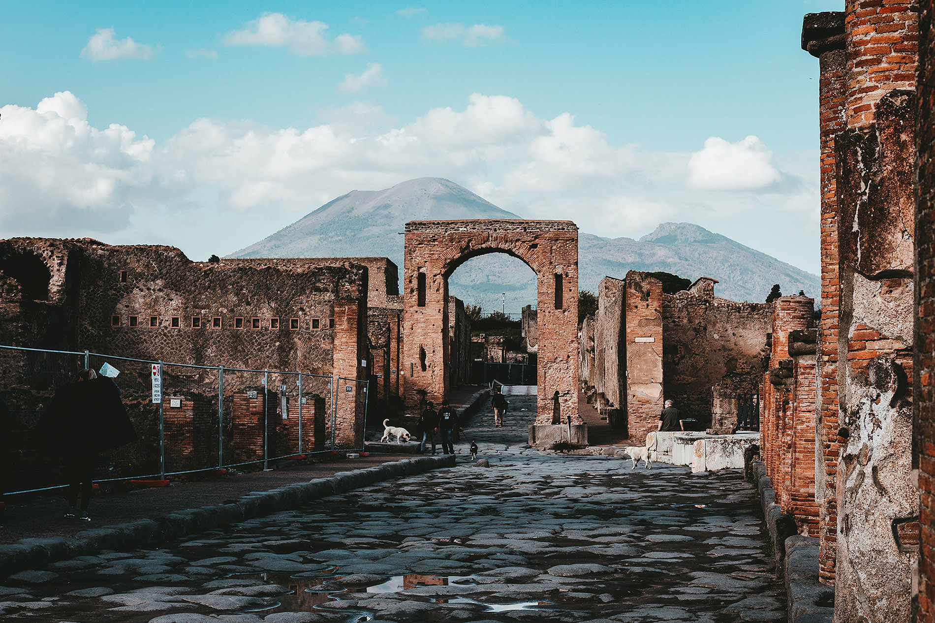 Photo_by_Andy_Holmes_on_Unsplash.jpg