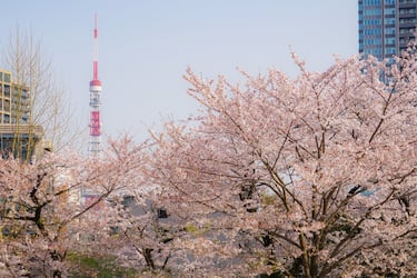 La magia a Tokyo