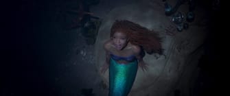 The Little Mermaid