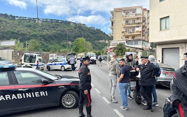 Carabinieri e Polizia locale sul luogo dell'incidente, Napoli, 05 maggio 2024.
Una ragazza di 21 anni Ë stata investita e uccisa a Napoli all'alba di oggi da un'auto pirata in via Cattolica, una strada di collegamento tra la zona di Cavalleggeri d'Aosta e Coroglio, nella parte occidentale della citt‡. Il fatto Ë avvenuto alle 6,30. La giovane, insieme con tre amiche, uscita da un locale al termine di una serata, Ë salita sull'auto per tornare a casa: dopo pochi metri ha chiesto alla conducente di fermarsi, sempre sulla stessa strada, per mettersi lei alla guida della vettura di cui era proprietaria. La 21enne Ë scesa allora dal sedile posteriore per mettersi al volante, ma non ha fatto in tempo perchË Ë stata investita da un'auto che sopraggiungeva (i testimoni indicano che probabilmente era un Suv di grossa cilindrata), e che l'ha uccisa sul colpo per poi far perdere le proprie tracce.
ANSA/CESARE ABBATE