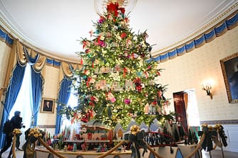 The White House Christmas tree is seen in the Blue Room during the media preview for the 2023 Holidays at the White House in Washington, DC on November 27, 2023. The theme for the 2023 White House holiday decorations is The "Magic, Wonder, and Joy" of the Holidays. (Photo by Mandel NGAN / AFP) (Photo by MANDEL NGAN/AFP via Getty Images)