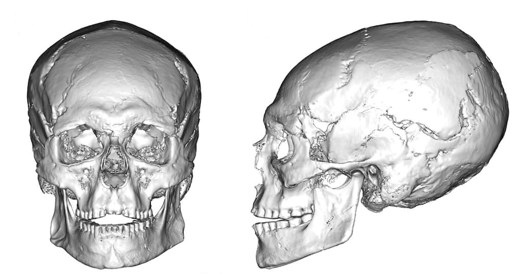 courtesy Università di Firenze