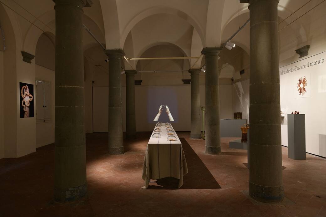Un_immagine_di_allestimento_della_mostra_Le_simmetrie_dei_desideri_Ilaria_Turba_2_Photo_Camila_Schuliaquer_web.JPG.jpg