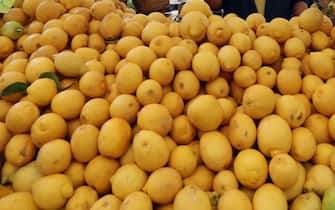 epa09132570 A Tunisian man sells lemons  on the first day of the Muslim holy month of Ramadan at a market in Tunis, Tunisia, 13 April 2021. Muslims began observing the dawn-to-dusk fast for the holy month of Ramadan across many parts of the Middle East on Tuesday 13 April. to draw worshippers closer to God through sacrifice, remembrance and heightened spirituality.  EPA/MOHAMED MESSARA