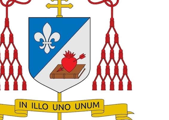 Papa Leone XIV, il significato di stemma e motto del nuovo pontefice ...