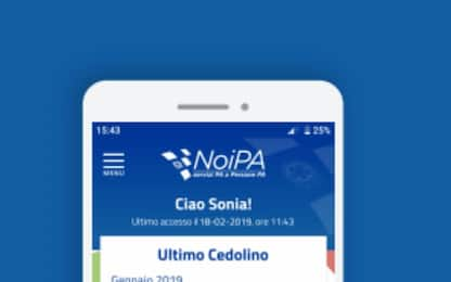 NoiPa, sul portale della Pa i cedolini elettronici degli stipendi