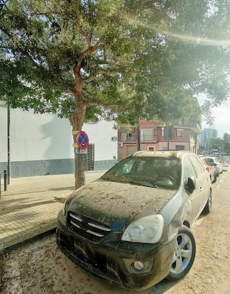 Very dirty and abandoned car under a tree with no number plates or people on a sunny day