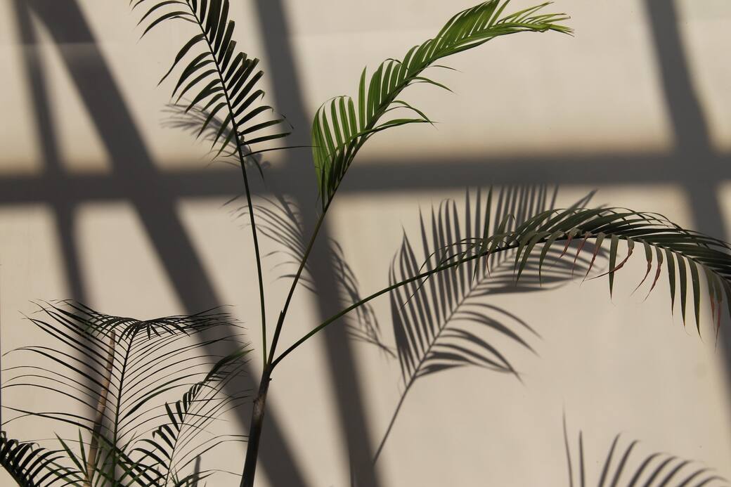 Foto_di_Marra_su_Unsplash.jpg
