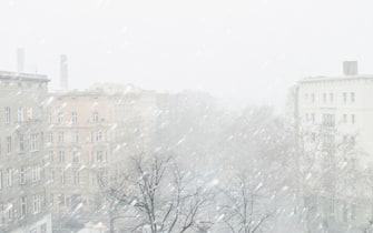 neve