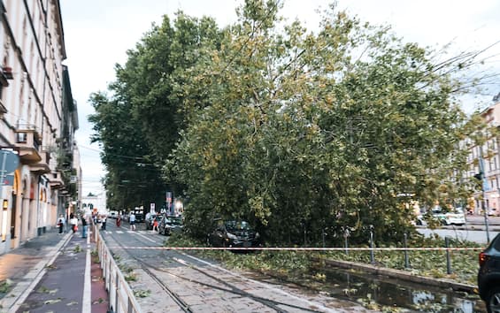 Maltempo a Milano, allerta arancione. Comune: “Abbandonare aree verdi e zone alberate”
