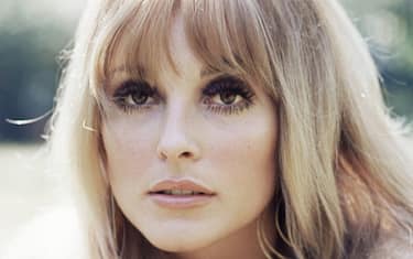 Headshot of Sharon Tate (1943-1969), US actress, circa 1965. (Photo by Silver Screen Collection/Getty Images)