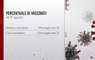 Percentuale di vaccinati all'11 agosto