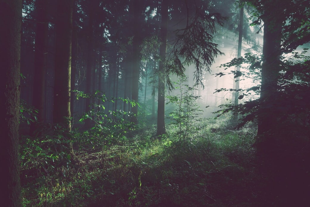 foto di Sebastian Unrau su Unsplash