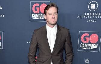 Armie Hammer