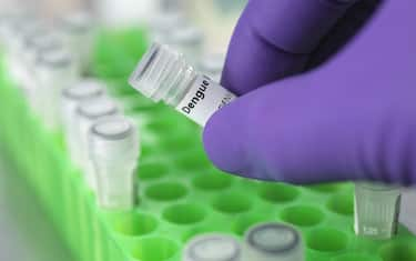 Scientist holding a vial containing a antigen for Dengue virus used in pharmaceutical research