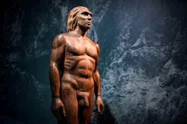 A picture taken on March 26, 2018 shows a reconstruction of the Man of Spy displayed for the Neanderthal exhibition at the Musee de l'Homme in Paris.
 / AFP PHOTO / STEPHANE DE SAKUTIN        (Photo credit should read STEPHANE DE SAKUTIN/AFP via Getty Images)
