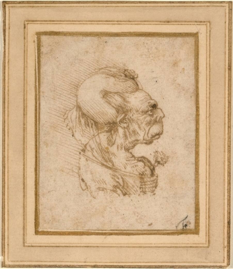 leonardo.jpg