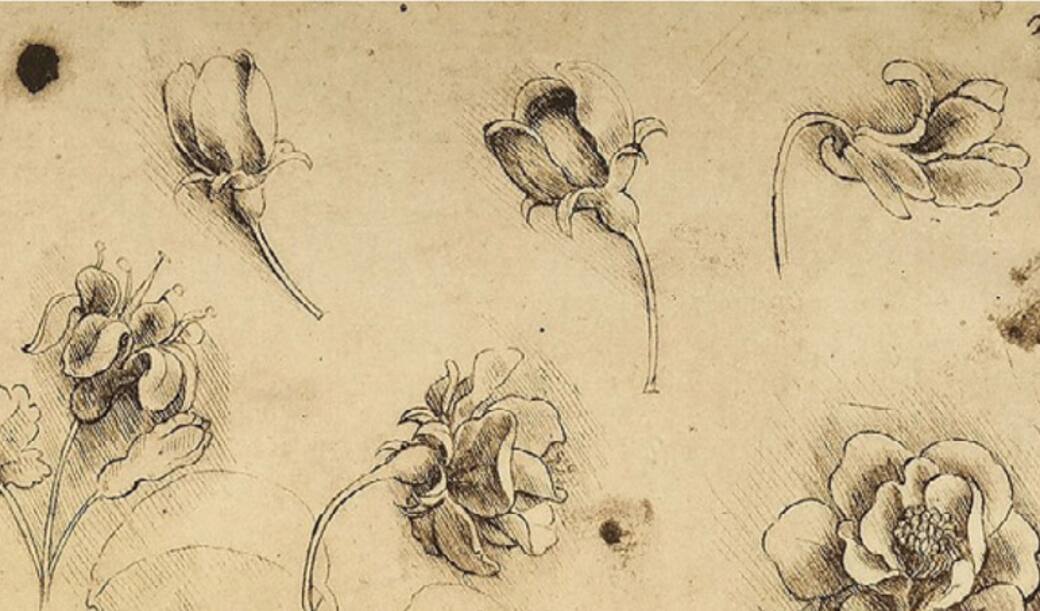 Leonardo_da_Vinci_and_the_Perfumes_of_the_Renaissance_-_Dettaglio_della_copertina.jpg