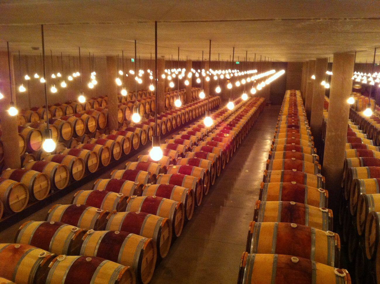 Barrel_Room_Chateau_Latour.JPG