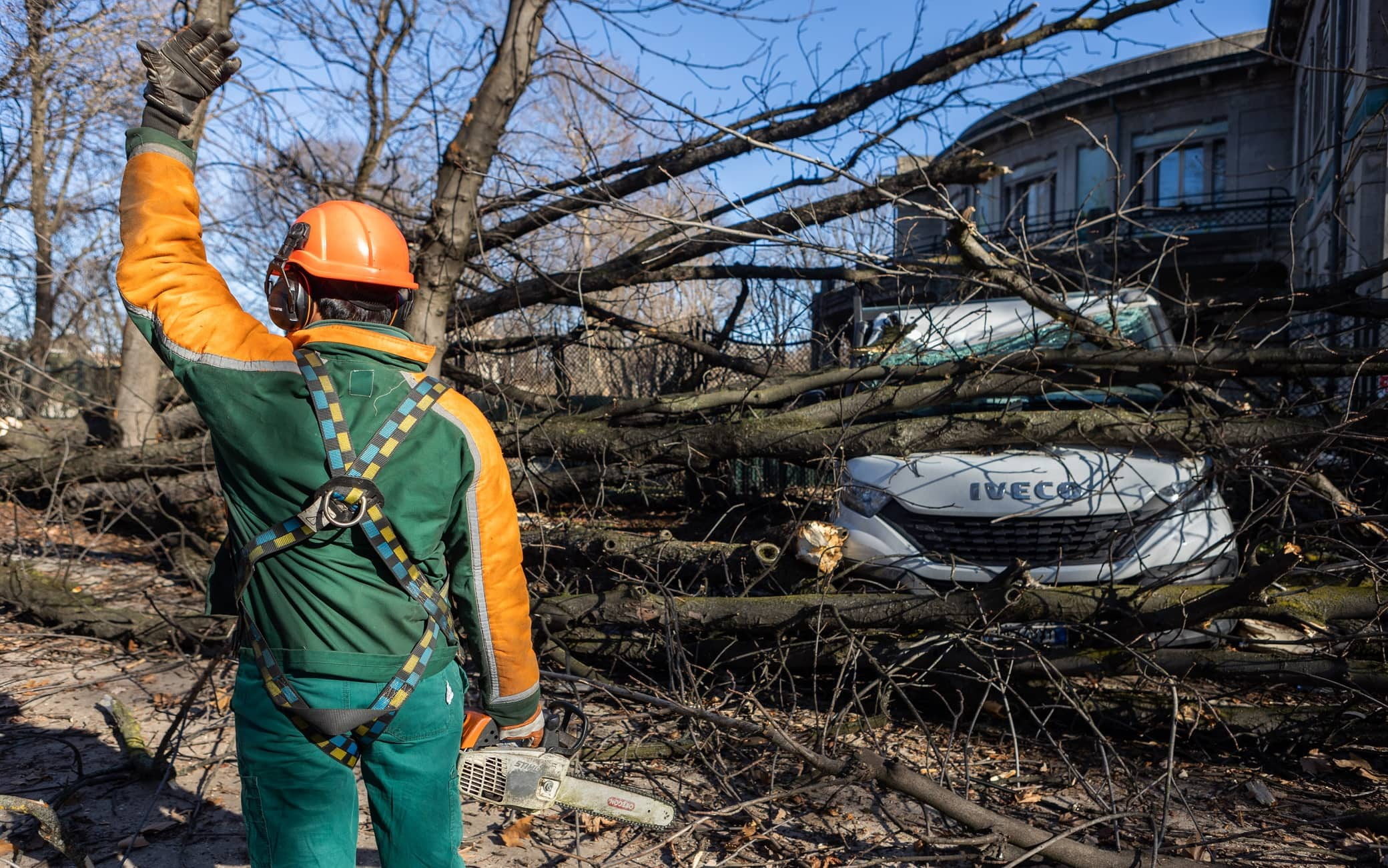 L'albero caduto in viale Gadio